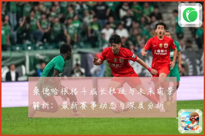 桑德哈根格斗成长轨迹与未来前景解析：最新赛事动态与深度分析